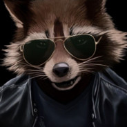 <<Raccoon>>