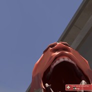 Bob