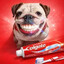 Colgate