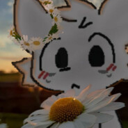 Jooo