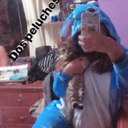 Catdebam