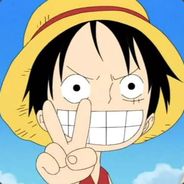 76561198216447217