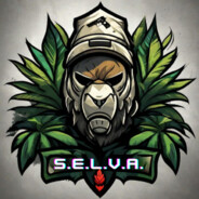 S.E.L.V.A. | B3n