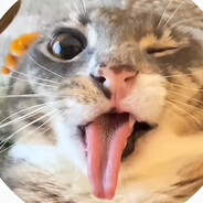 ArtiMoHb