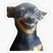 WEBO DE PERRO player avatar