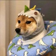 20爱如火