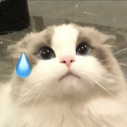 苦艾酒