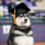 Steam profile picture for @repec