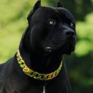 El Chapo