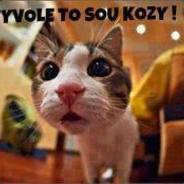 Bot Allu