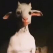 rrrrrrr
