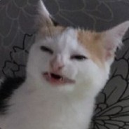 Убийца сучек