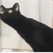BB