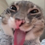 Popochopa