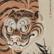 Aggressive Chinese Tiger