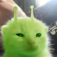 BRUUUTOO | GATO KOSMI-KO