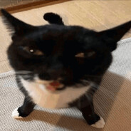 Tried to Eat a USB Stick