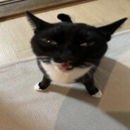 Poshipawn