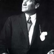 Ali K.