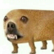 https://avatars.fastly.steamstatic.com/2b8f7fc0f37ae535b4a38369660ff0d50aa58eec_full.jpg
