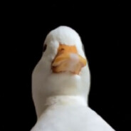 Eend