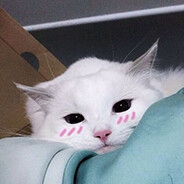 ✿・𝒮𝒶𝓀𝓊𝓇𝒶