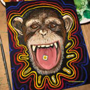 lsd_monkey13