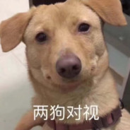 用铲车铲铲车铲车会被铲车铲起来吗