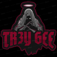 3GEE