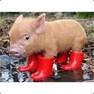 Chris P. Bacon
