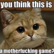 ginger_the_cat