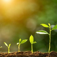 Grow