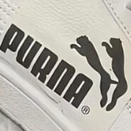 PURNA