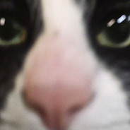 Loki