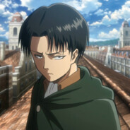 Levi