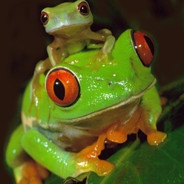 FROG [HUN / ENG]