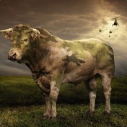 AGENTMOO