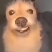 Pitoco
