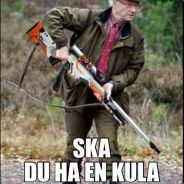 Harald Huvudskott