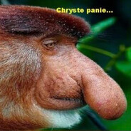 chryste panie