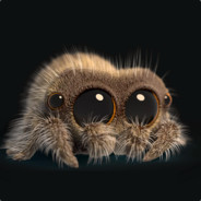 Phidippus