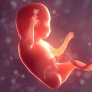 Embryonic Arby