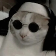 gata freira