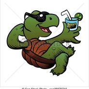 SlideTurtle