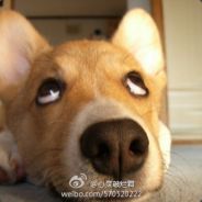 凡是过往 皆为序章