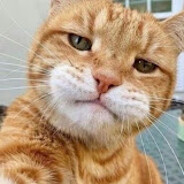 bombonierkaa $icario$