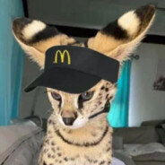 TripsALott