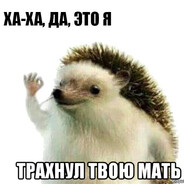 трахни твою мать