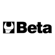 BetaX