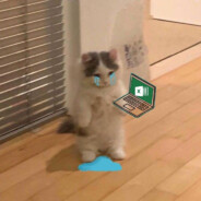 Excel